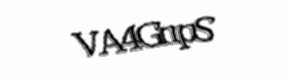 Security check image, please type the characters shown